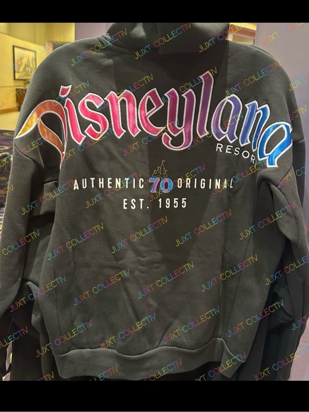 Disneyland 70th Anniversary Authentic Original 1955 Zip Hoodie